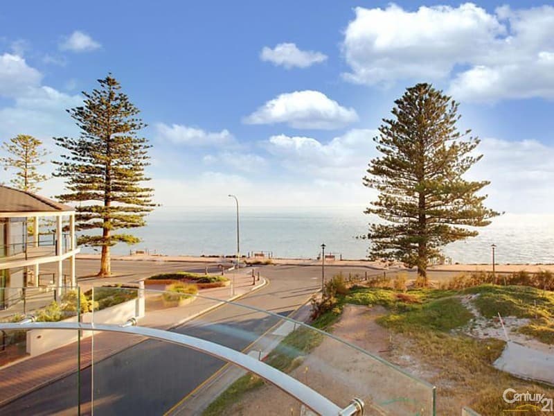 52 Alfreda Street, Brighton, SA, 5048, Brighton - Thumbnail 3