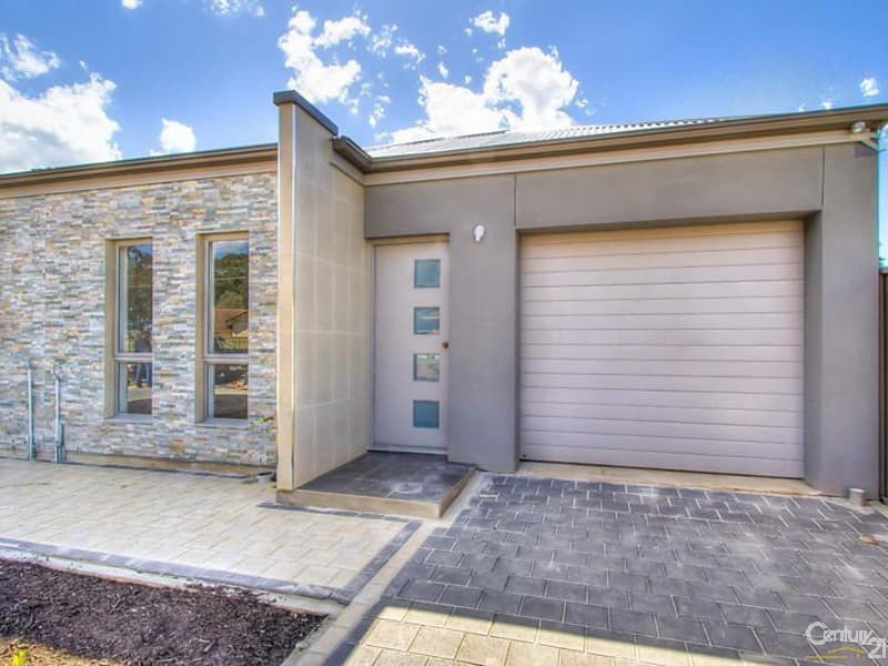 1 Hillary Avenue, Morphettville, SA, 5043, Morphettville - Thumbnail 5