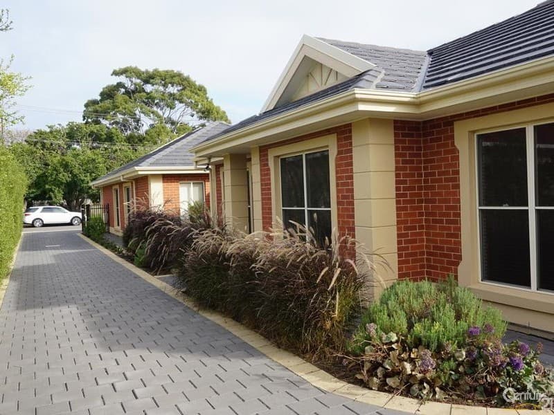 9A Winton Avenue, Warradale, SA, 5046, Warradale - Thumbnail 5