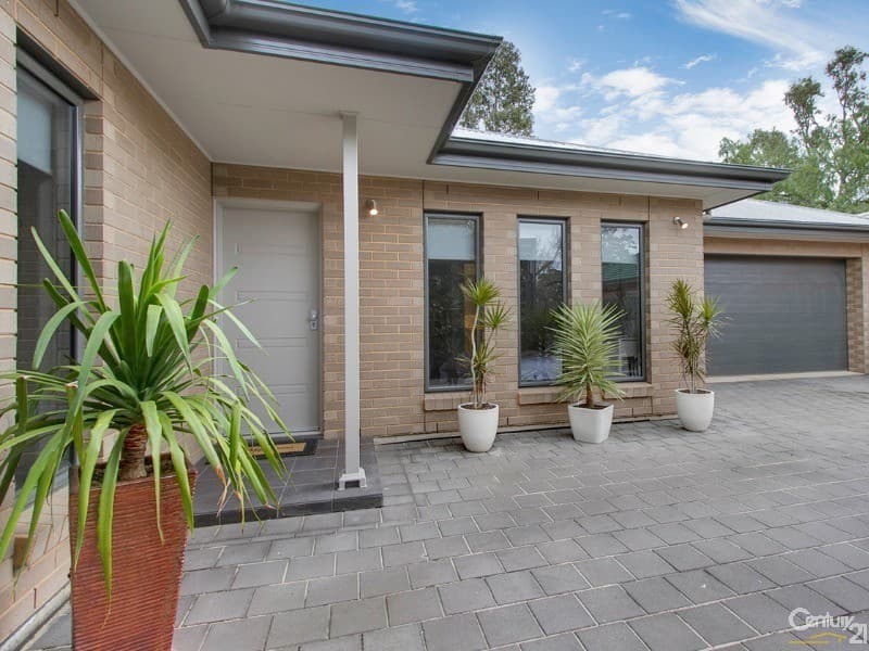 20A Renown Avenue, Clovelly Park, SA, 5042, Clovelly Park - Thumbnail 2