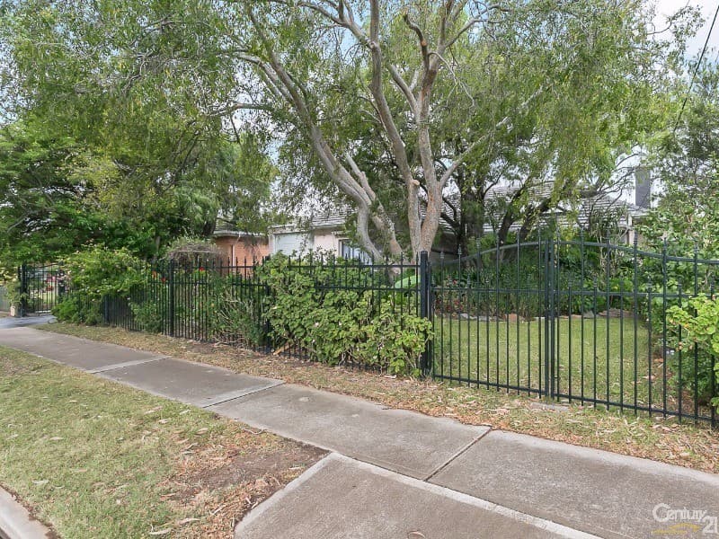 16 Pine Avenue, Warradale, SA, 5046, Warradale - Thumbnail 2