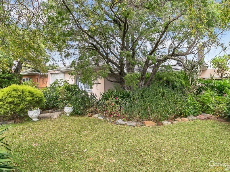16 Pine Avenue, Warradale, SA, 5046, Warradale - Thumbnail 3