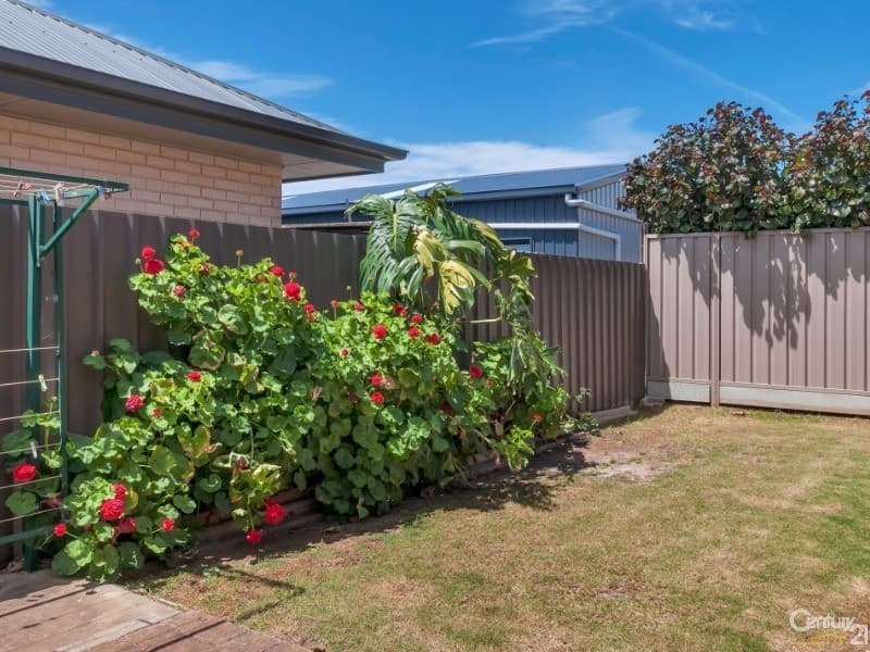 3/5 Clovelly Avenue, Hove, SA, 5048, Hove - Thumbnail 7