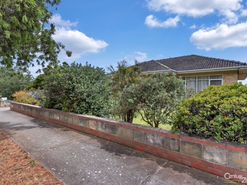 10 Swan Street, Brighton, SA, 5048, Brighton - Thumbnail 5