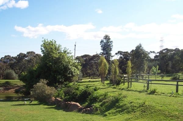 170 Main South Road, Morphett Vale, SA, 5162, Onkaparinga Hills - Thumbnail 5