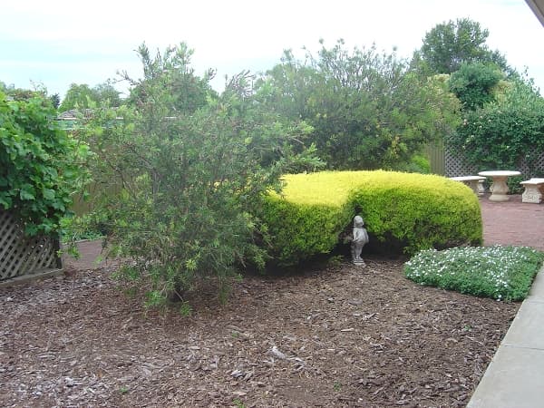 4/93-97 Flaxmill Rd, Morphett Vale, SA, 5162, Kings Park - Thumbnail 5