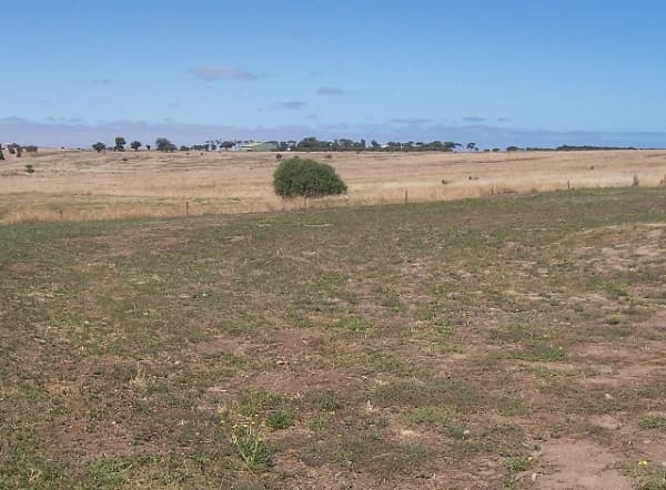50 & 51 Sauerbiers Rd, Seaford Meadows, SA, 5169, Seaford Meadows - Image 1