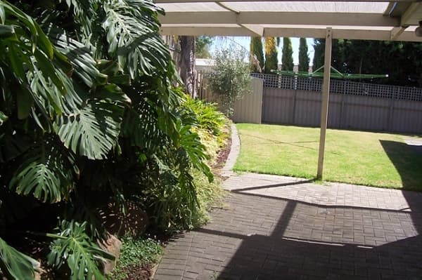 5 Doneley Street, Wilton, NSW, 2571, Wilton - Thumbnail 7