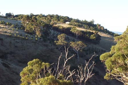 Lot 6 Range Road West, Willunga South, SA, 5172, Willunga South - Thumbnail 5