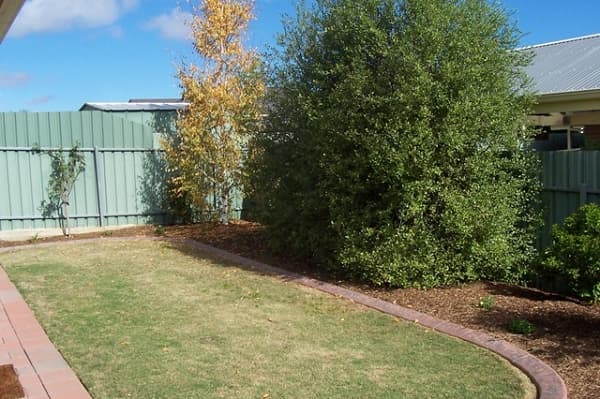 23/100 Pimpala Rd, Morphett Vale, SA, 5162, Morphett Vale - Thumbnail 7