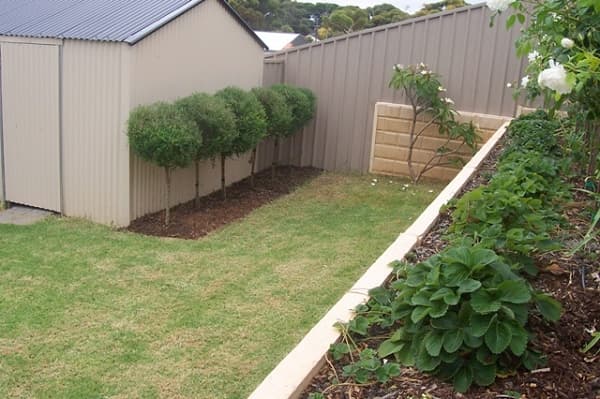 14 Baratook Crescent, Mount Coolum, QLD, 4573, Mount Coolum - Thumbnail 7