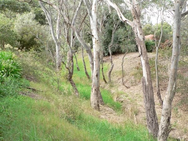 7/11 Thomas Drive, Happy Valley, SA, 5159, Happy Valley - Thumbnail 8