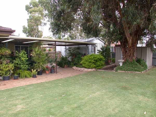 11 Tatiara Road, Happy Valley, SA, 5159, Happy Valley - Thumbnail 4