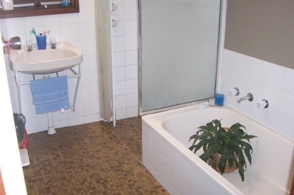247/8 Starling Street, Buderim, QLD, 4556, Buderim - Thumbnail 6