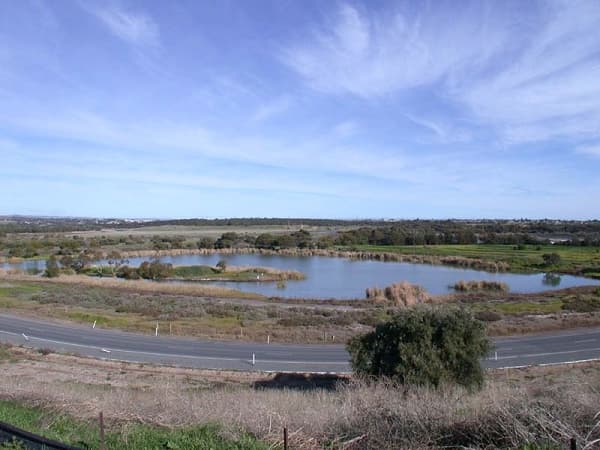 6 Kerley Way, Noarlunga Downs, SA, 5168, Noarlunga Downs - Thumbnail 5