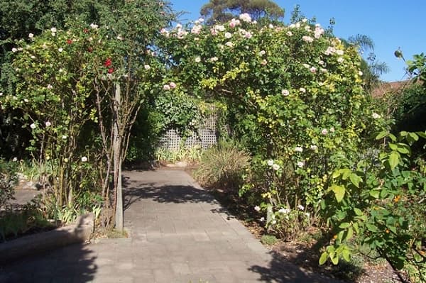 Address Withheld, Morphett Vale, SA, 5162, Morphett Vale - Thumbnail 8