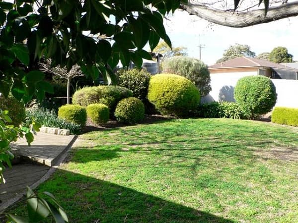 23 Williams Avenue, Hackham West, SA, 5163, Hackham West - Thumbnail 8