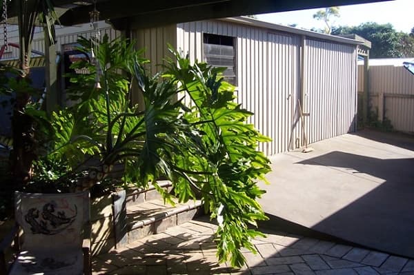 46 Cherry Lane, Robin Hill, NSW, 2795, Robin Hill - Thumbnail 5