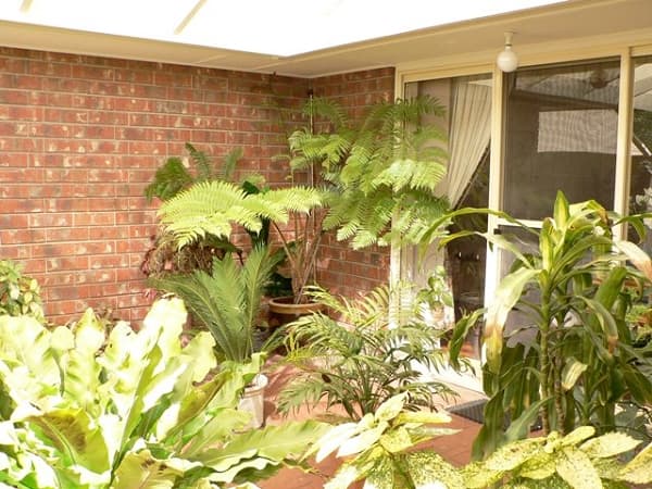 5 Champagne Crsecent, Woodcroft, SA, 5162, Woodcroft - Thumbnail 7