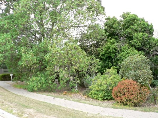 8 Tarpeena Avenue, Windsor Gardens, SA, 5087, Windsor Gardens - Thumbnail 7