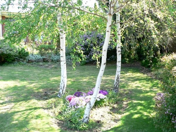 7 Candy Rd, O'Halloran Hill, SA, 5158, O'Halloran Hill - Thumbnail 6