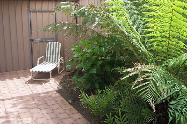 1 Treasure Place, Seaford Rise, SA, 5169, Seaford Rise - Thumbnail 6