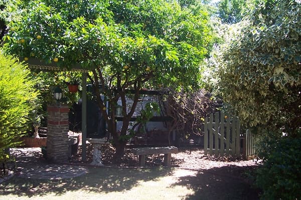 21 Ayre Street, Morphett Vale, SA, 5162, Morphett Vale - Thumbnail 6