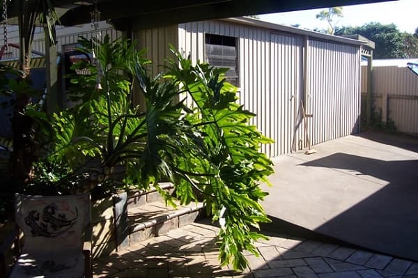279 Brodie Rd, Morphett Vale, SA, 5162, Morphett Vale - Thumbnail 2