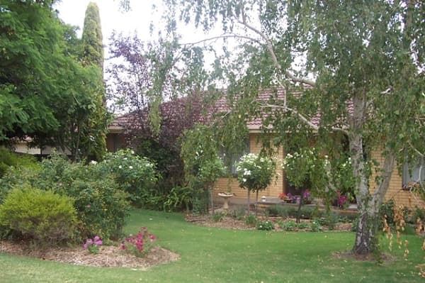 19 Maud Street, Bannockburn, QLD, 4207, Bannockburn - Thumbnail 2
