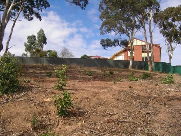 8 Hamilton Street, Warwick, QLD, 4370, Warwick - Thumbnail 2