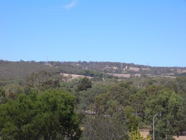 8 Hamilton Street, Warwick, QLD, 4370, Warwick - Thumbnail 3