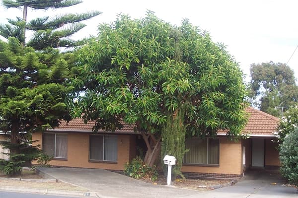 706/6B Atkinson Street, Liverpool, NSW, 2170, Liverpool - Image 1
