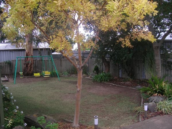 5 Zelda Close, Reynella, SA, 5161, Reynella - Thumbnail 7