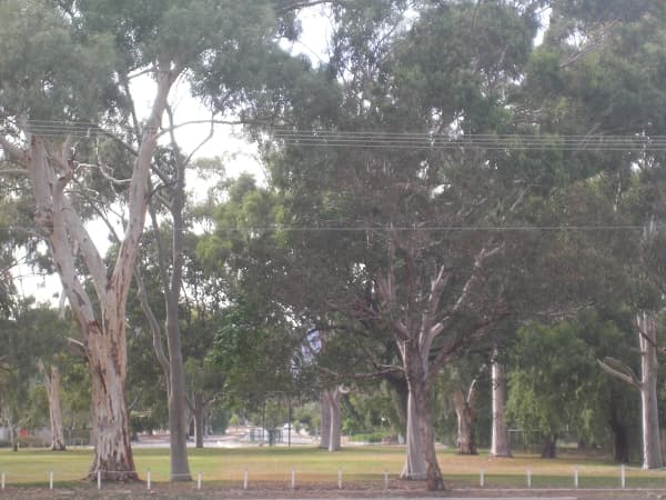 2 Shetland Avenue, Marion, SA, 5043, Marion - Thumbnail 3