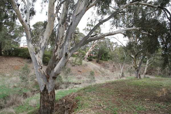 7 Booligal Close, Austral, NSW, 2179, Austral - Thumbnail 7