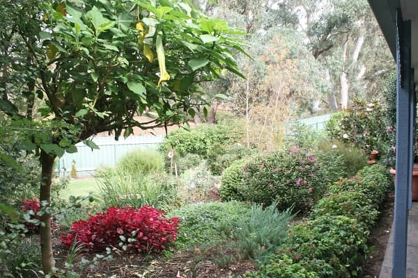 7 Booligal Close, Austral, NSW, 2179, Austral - Thumbnail 8
