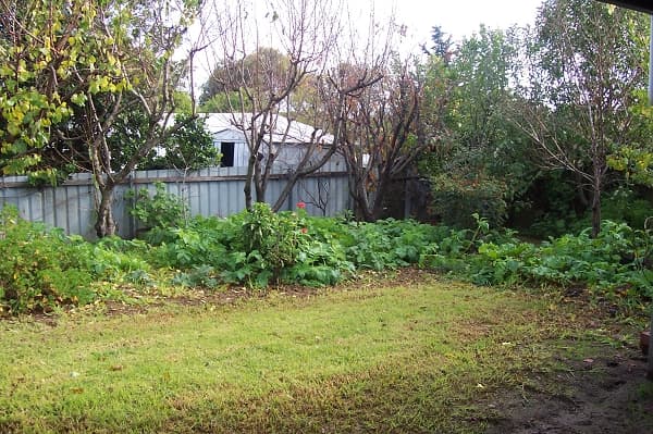 3 Clayton Court, Crestmead, QLD, 4132, Crestmead - Thumbnail 6