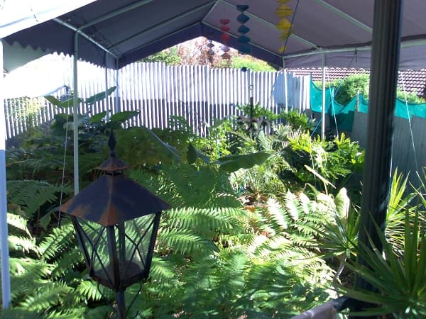 339 Brays Road, Griffin, QLD, 4503, Griffin - Thumbnail 3
