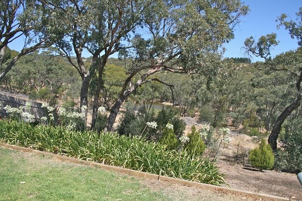 Address Withheld, Woodcroft, SA, 5162, Woodcroft - Thumbnail 7