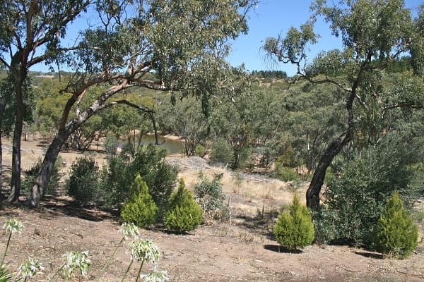 Address Withheld, Woodcroft, SA, 5162, Woodcroft - Thumbnail 8