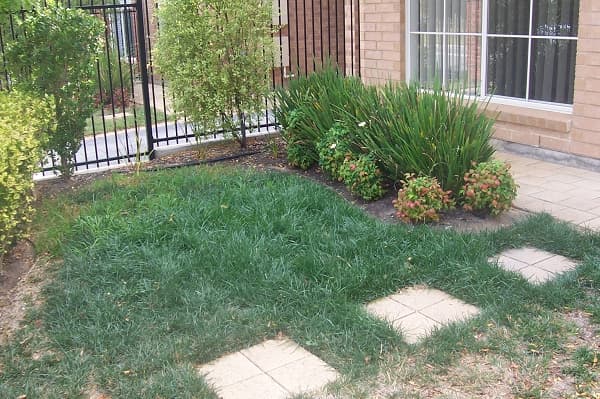 32 McFarlane Avenue, Mitchell Park, SA, 5043, Mitchell Park - Thumbnail 7