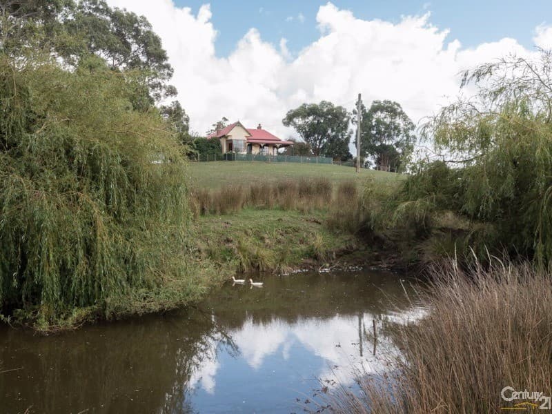 220 Cradle Mountain Road, Wilmot, TAS, 7310, Wilmot - Thumbnail 4