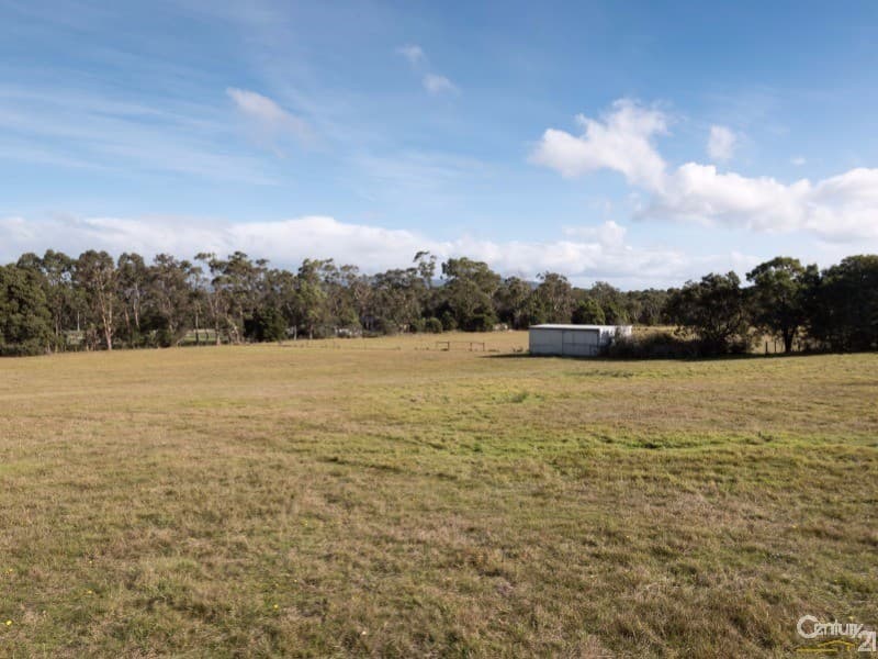 242 Moriarty Road, Latrobe, TAS, 7307, Latrobe - Image 1