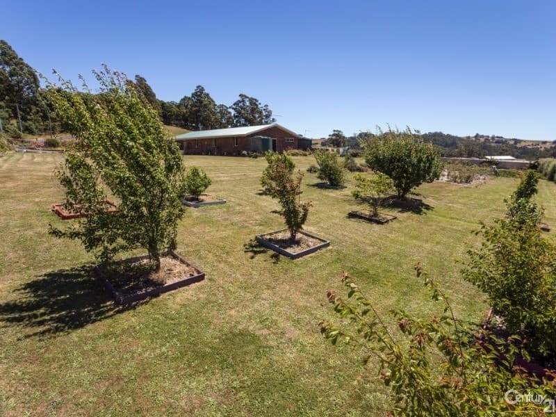 20 Lakeside Drive, Acacia Hills, TAS, 7306, Acacia Hills - Thumbnail 5