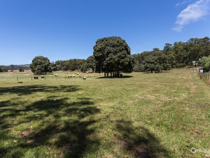 59 Kimberley Road, Railton, TAS, 7305, Railton - Thumbnail 6