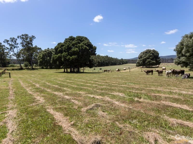 59 Kimberley Road, Railton, TAS, 7305, Railton - Thumbnail 4