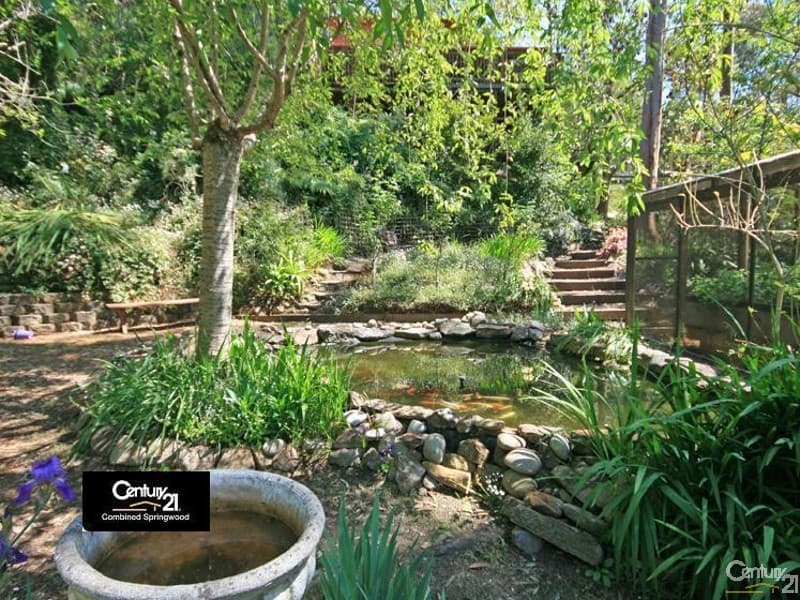 104 Davies Ave, Springwood, NSW, 2777, Springwood - Thumbnail 2