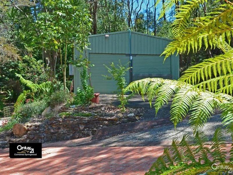26 Davies Ave, Springwood, NSW, 2777, Springwood - Thumbnail 8
