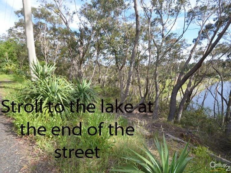 135 Macquarie Road, Springwood, NSW, 2777, Wentworth Falls - Thumbnail 2