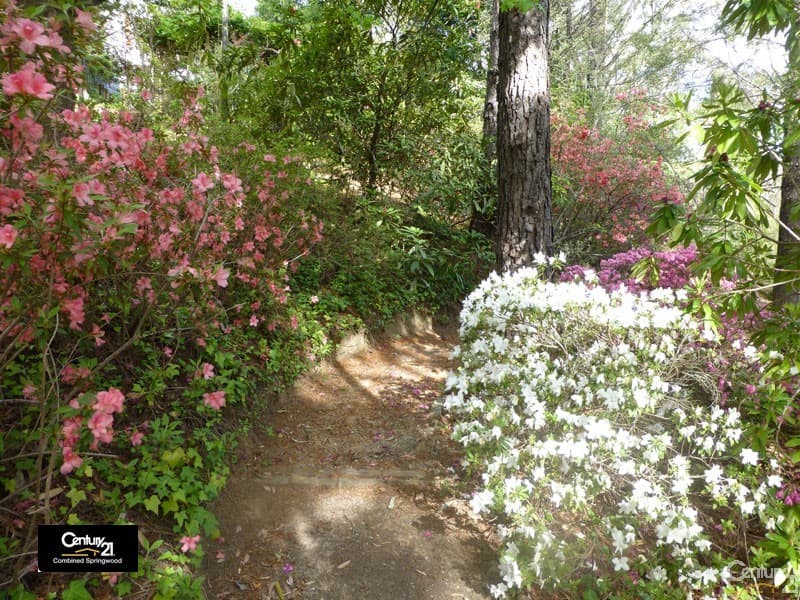 135 Macquarie Road, Springwood, NSW, 2777, Wentworth Falls - Thumbnail 3